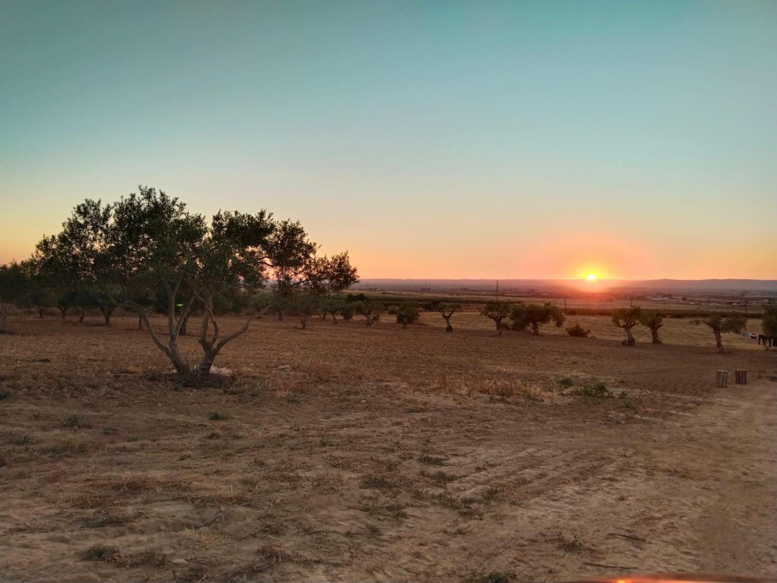 Casa Rural Cerro Campon كارمونا المظهر الخارجي الصورة