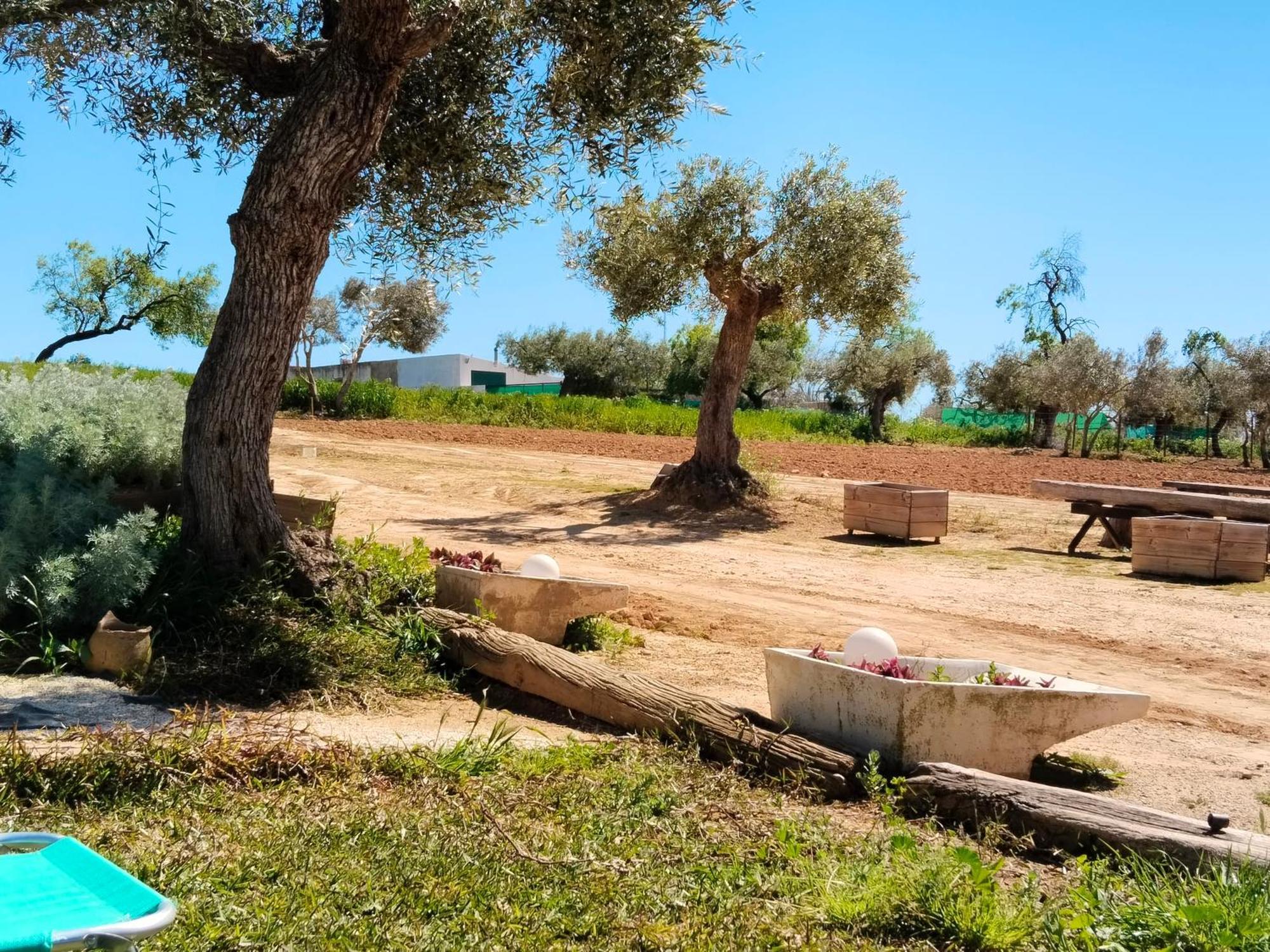 Casa Rural Cerro Campon كارمونا المظهر الخارجي الصورة