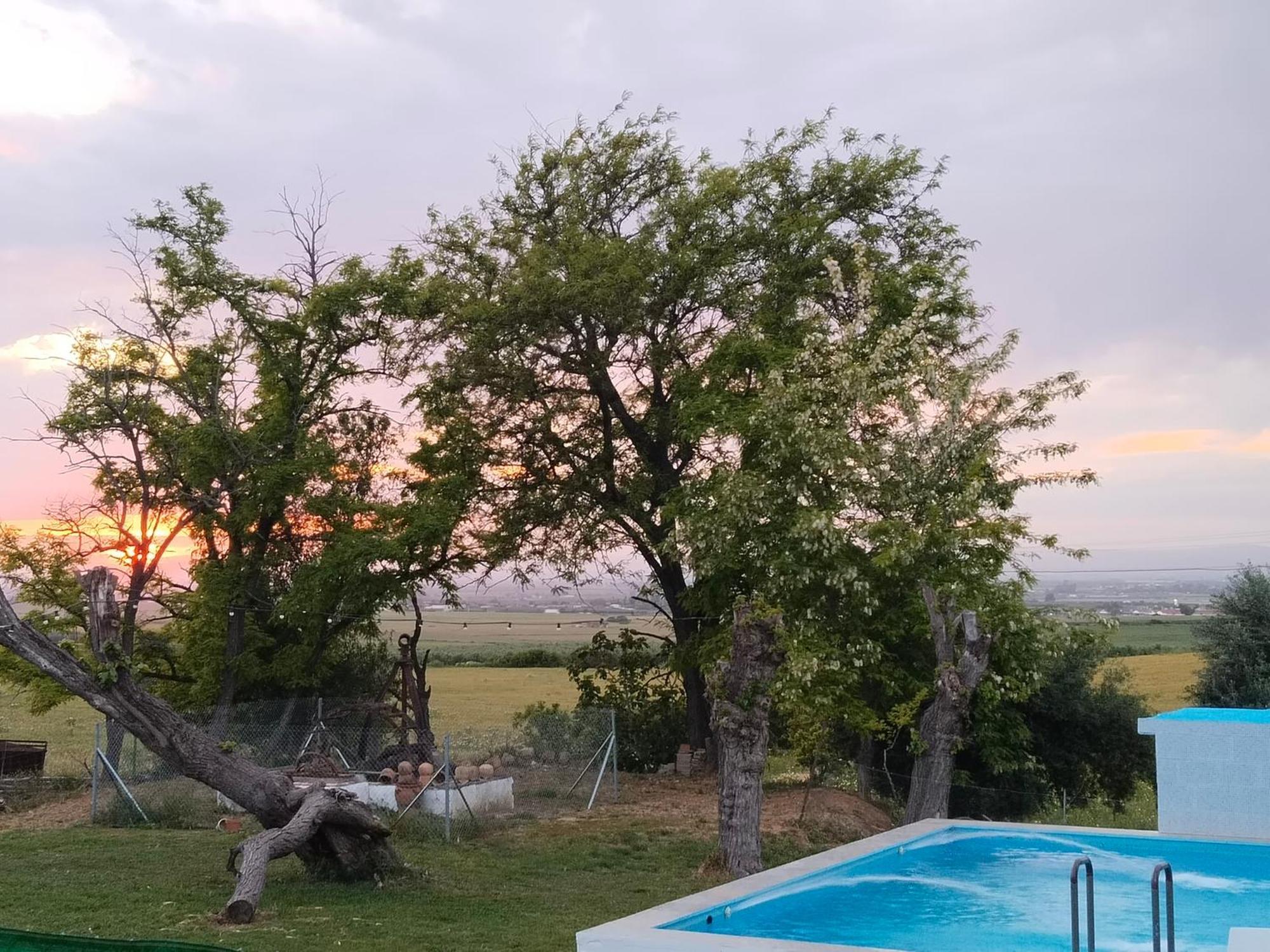 Casa Rural Cerro Campon كارمونا المظهر الخارجي الصورة